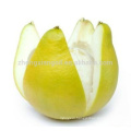 Factory Directly Sell Pomelo Peel Essential Oil Bulk